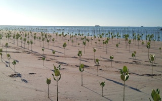 Island_Nation_Resilience_Tuvalu