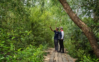 Environmental_Defenders_Java_Mangroves