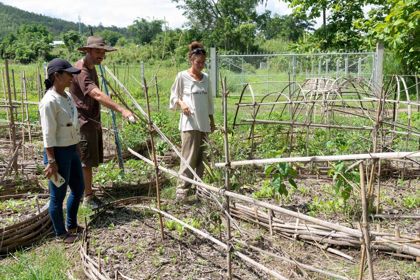 Pai Seedlings Foundation