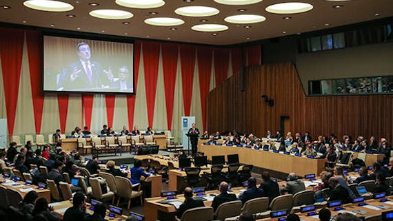 Image: United Nations Development Programme