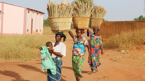 Image: U.S. Agency for International Development/Moctar Menta, IFDC