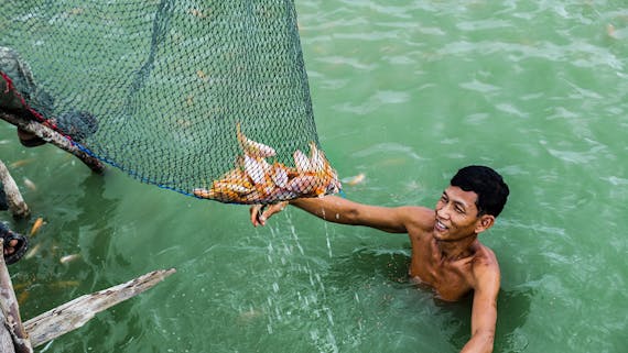 Image: U.S. Agency for International Development/Cambodia HARVEST/Fintrac Inc